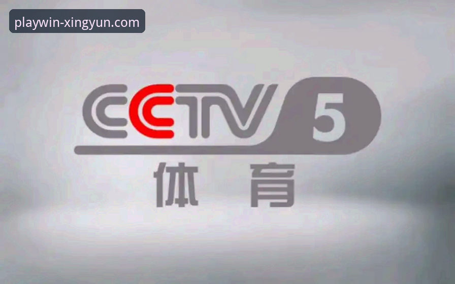 杏运体育平台用户必读：5个常见问题的高效解决方案